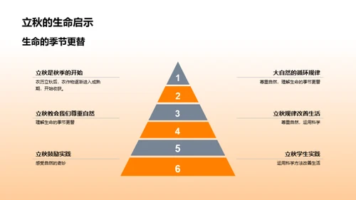 立秋：收获与启示