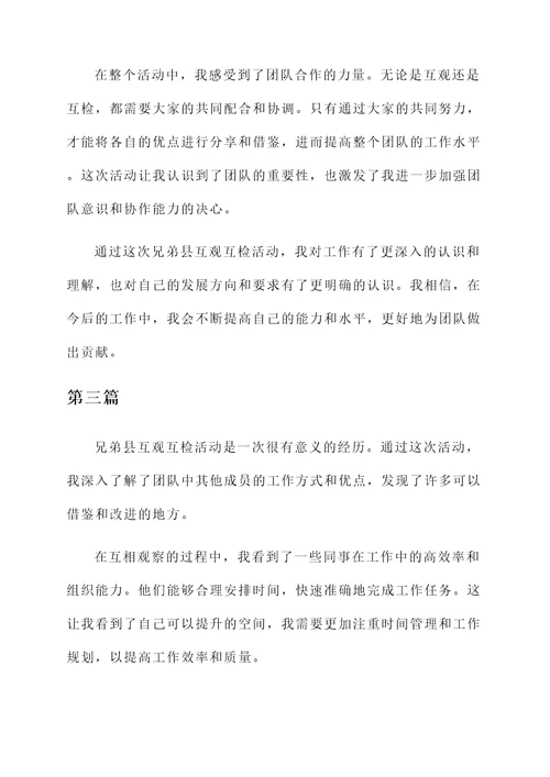 考察兄弟县互观互检感想