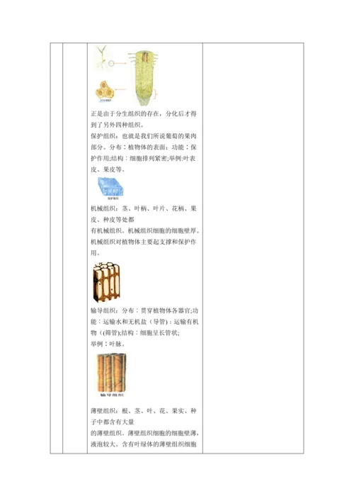 3.植物体的结构层次