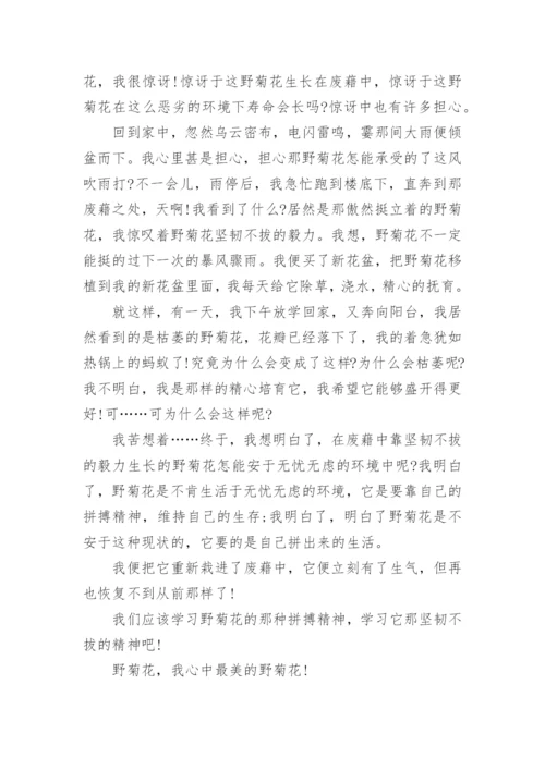 写我喜欢植物作文.docx