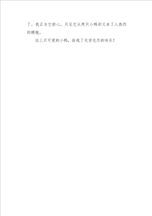 五年级作文叙事可爱的小鸭子400字