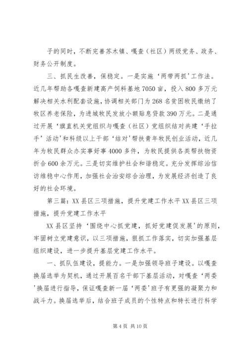 第2期：XX县区考述评三项硬措施提升党委书记抓党建工作水平5篇.docx