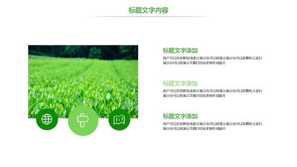 绿色唯美茶园艺术品茶文化茶园PPT模板