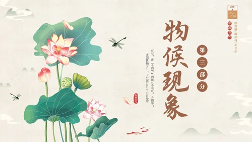 绿色淡雅中国风荷花荷叶中国二十四节气之夏至节气介绍PPT