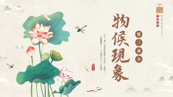 绿色淡雅中国风荷花荷叶中国二十四节气之夏至节气介绍PPT