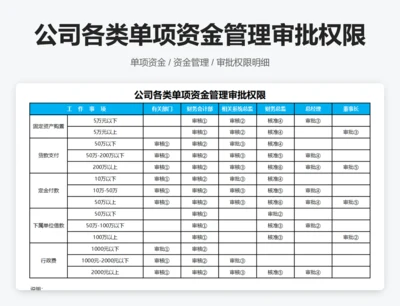公司各类单项资金管理审批权限