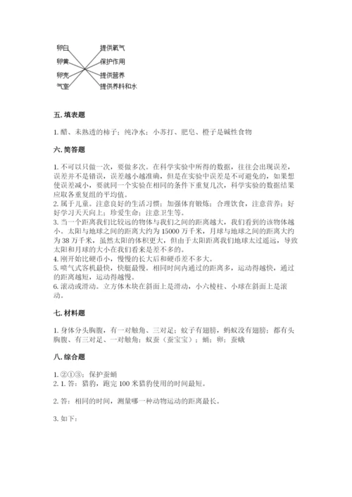 教科版小学科学三年级下册 期末测试卷（考点精练）.docx
