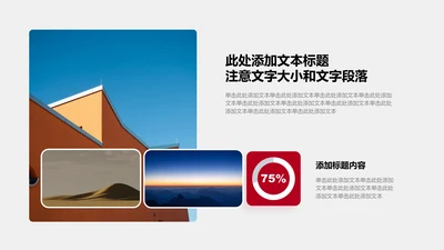 图文页-红色商务风1项正文图