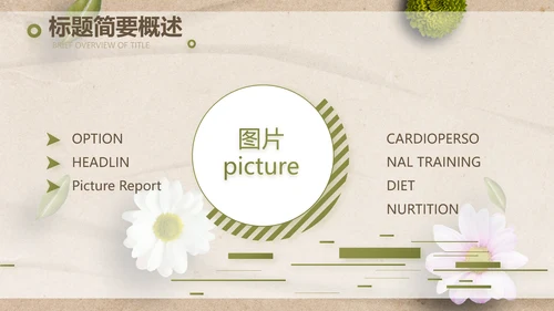 简约SPA美容养生会所工作总结PPT