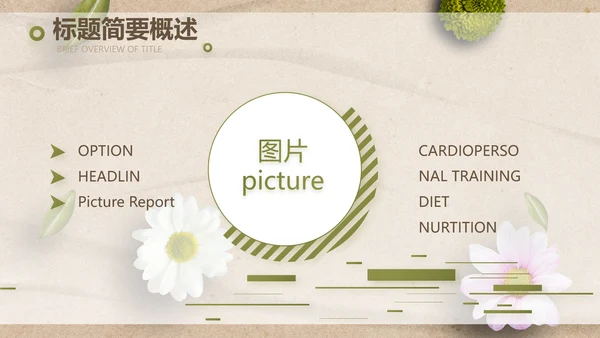 简约SPA美容养生会所工作总结PPT
