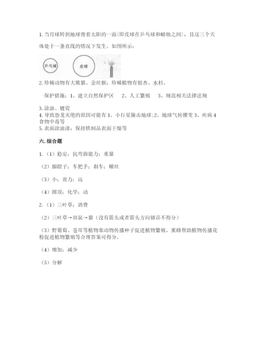 教科版六年级下册科学期末测试卷及答案参考.docx