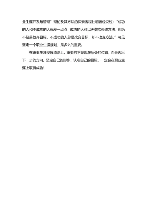 软件工程师职业生涯规划.docx