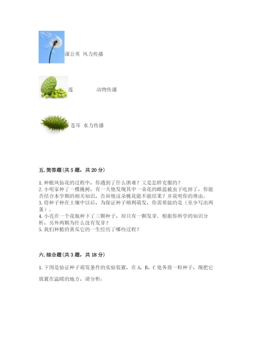科学四年级下册第一单元植物的生长变化测试卷及答案【典优】.docx
