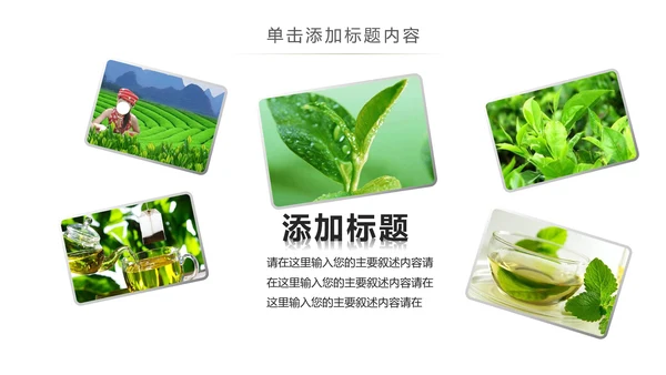 绿茶产品介绍茶叶茶文化春茶紫砂壶PPT