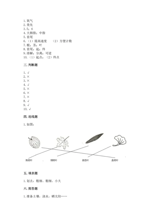 教科版一年级上册科学期末测试卷【重点】.docx