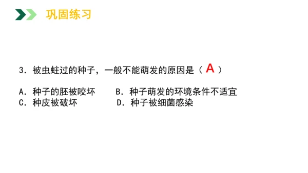 3.2.1 种子的萌发 2023-2024学年七年级生物上册精品教学课件（人教版）(共19张PPT)