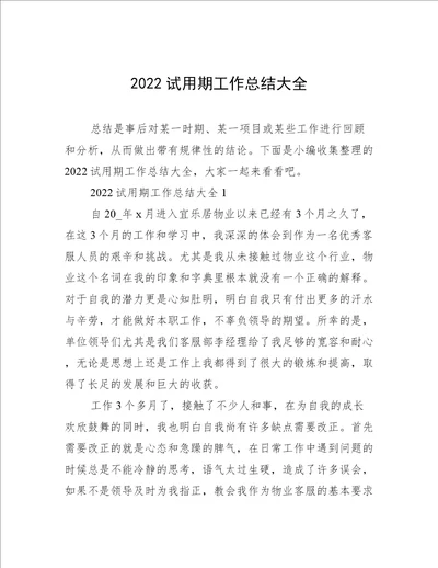 2022试用期工作总结大全