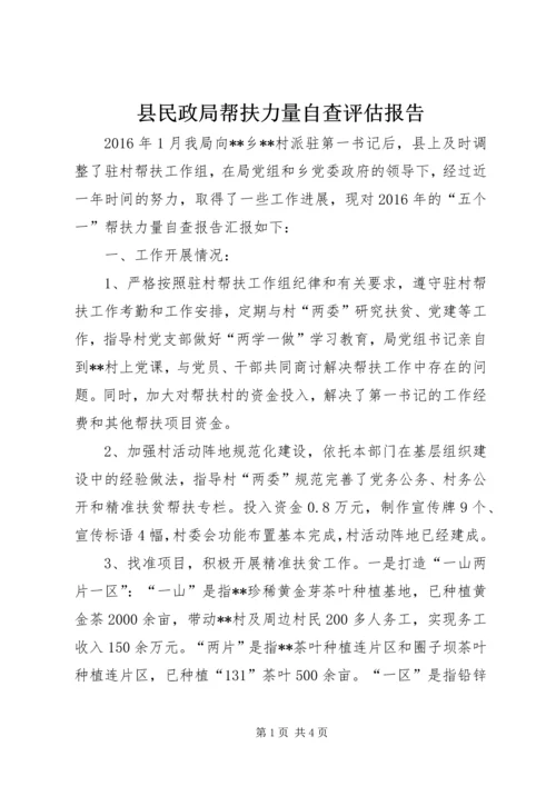 县民政局帮扶力量自查评估报告.docx