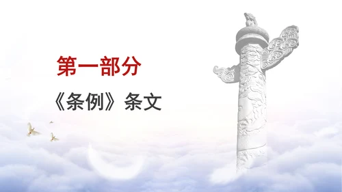 党支部反面教材违反组织纪律案例剖析党课材料PPT
