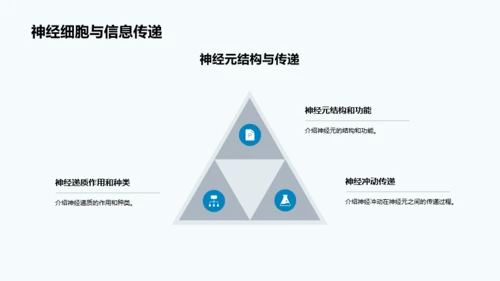 蓝色细胞结构和功能介绍PPT模板