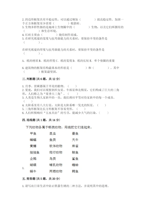 教科版六年级下册科学期末测试卷各版本.docx