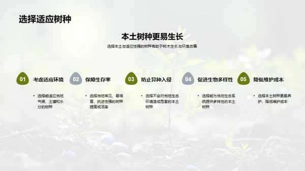 绿化地球，我们的责任