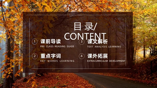 橙色简约实拍未选择的路PPT七年级语文下册PPT模板
