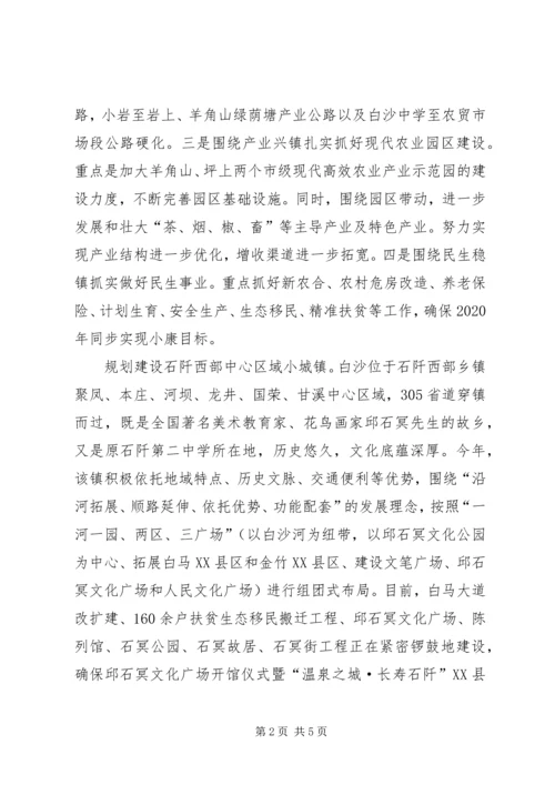 乡镇规划管理委员会工作汇报.docx