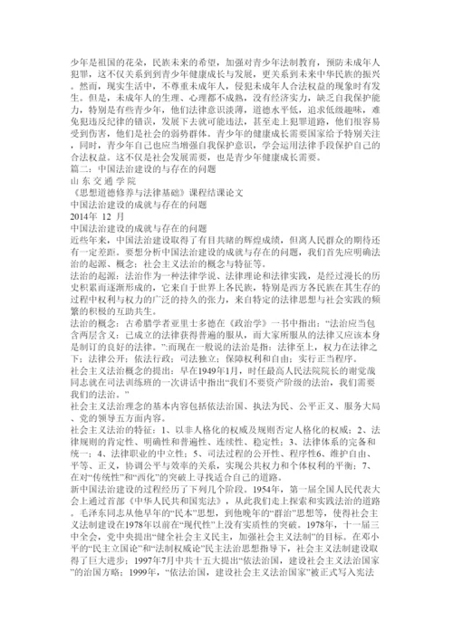 【精编】法治社会论文.docx