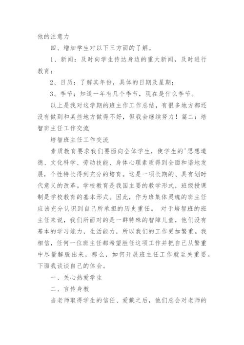 培智班主任工作总结.docx