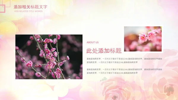妇联三八妇女节年终工作总结汇报PPT模板