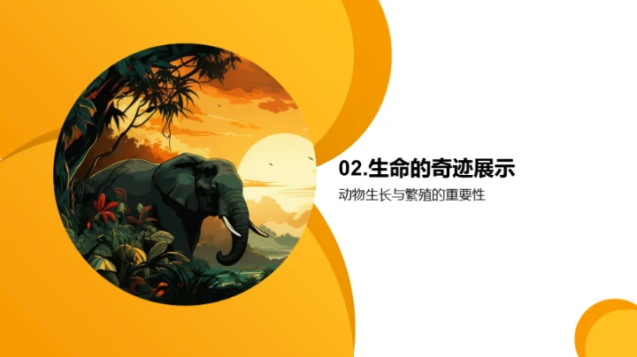 生命的奥秘与保护