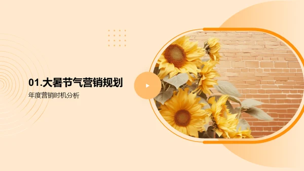 大暑营销策略解析