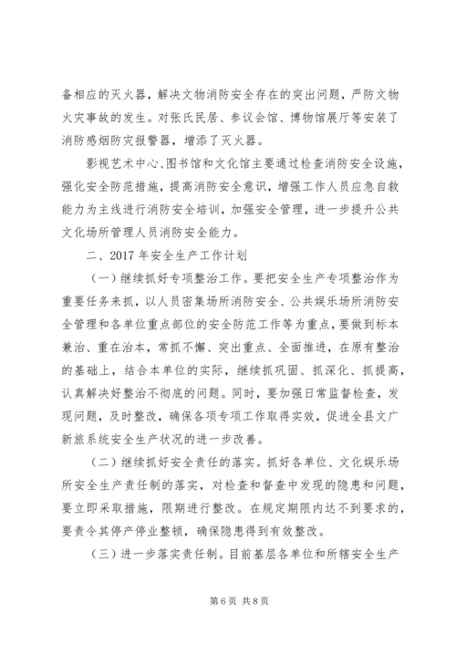 文广局XX年安全生产工作总结及XX年安全工作计划.docx