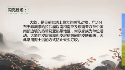 19大象的耳朵  课件