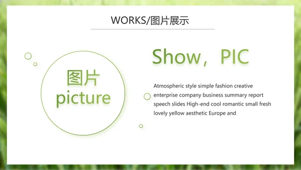 绿色农产品介绍宣传动态PPT模板
