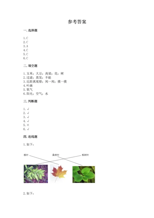 教科版科学一年级上册第一单元《植物》测试卷及完整答案（考点梳理）.docx
