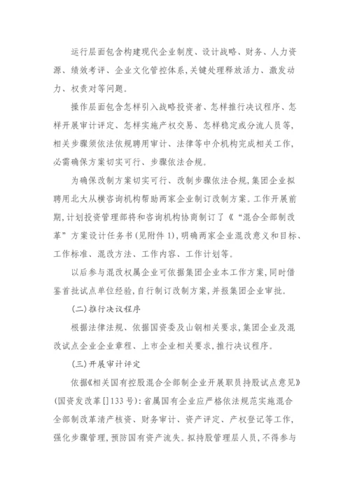 公司混合所有制改革试点工作专业方案.docx