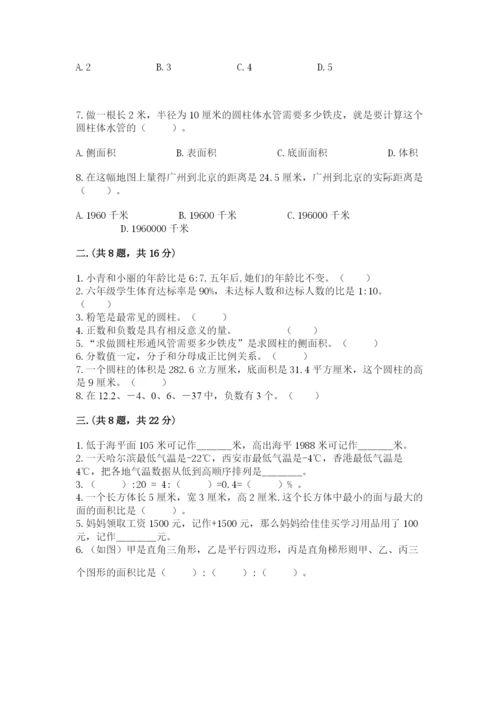 青岛版数学小升初模拟试卷含完整答案（夺冠）.docx