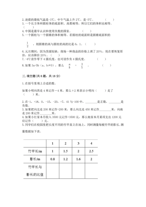 小升初数学期末测试卷及完整答案一套.docx
