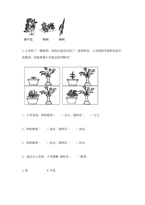 教科版科学一年级上册第一单元《植物》测试卷含答案【轻巧夺冠】.docx