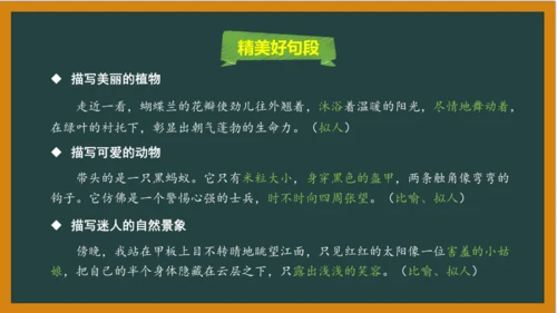统编版语文四年级上册 第三单元习作：  写观察日记课件