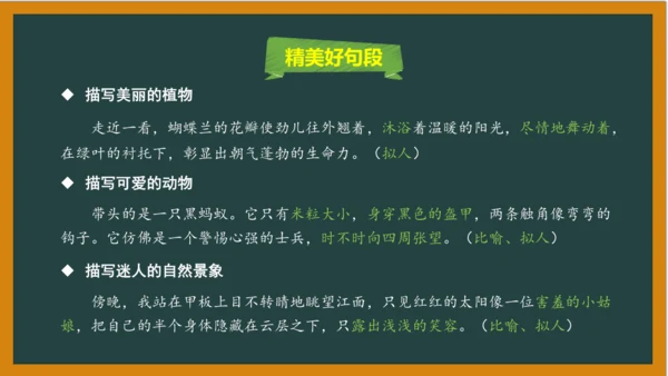 统编版语文四年级上册 第三单元习作：  写观察日记课件