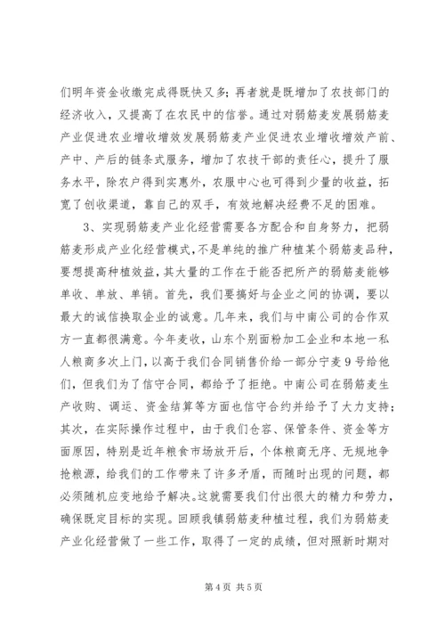 发展弱筋麦产业促进农业增收增效 (2).docx