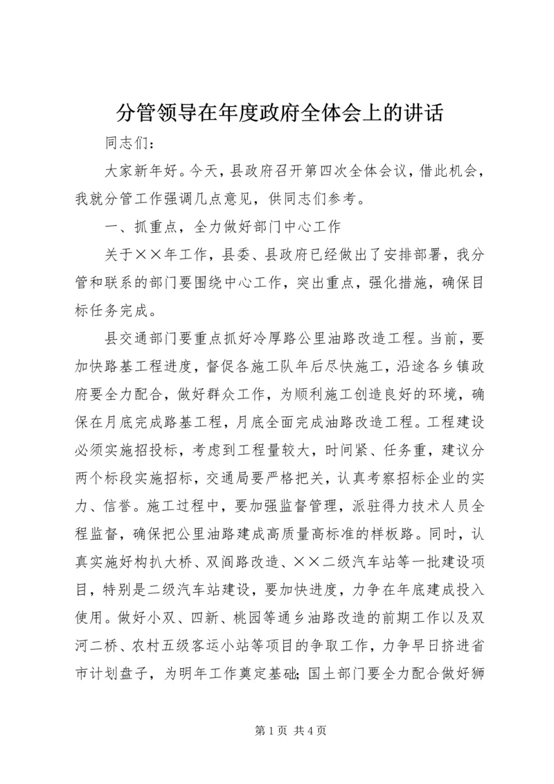 分管领导在年度政府全体会上的讲话 (3).docx