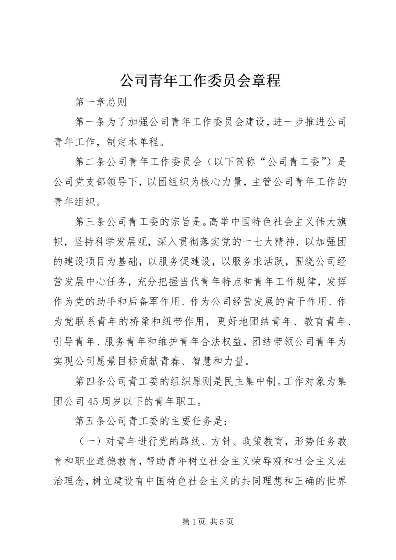 公司青年工作委员会章程.docx