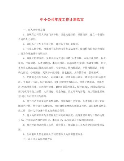 精编之中小公司年度工作计划范文.docx