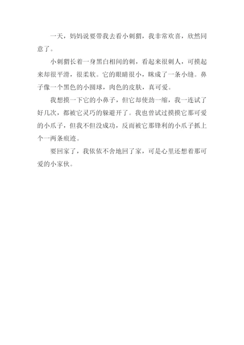 小刺猬作文200字.docx