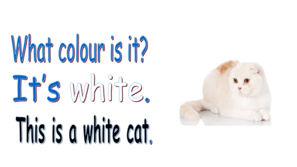 外研版（一起）一上Module 5  Unit 2 This is a yellow cat 同步备