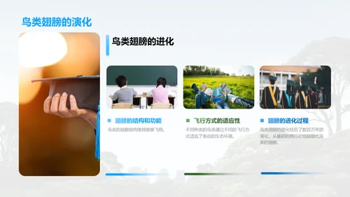 生命的奥秘与探索